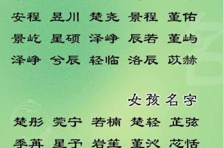 半夜出生属兔的男孩应该怎么样去名字呢姓名