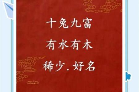 5月份出生的属兔男孩如何取名字姓名
