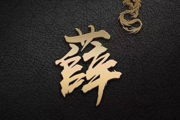 薛姓男孩名字大全-薛姓男孩起名字大全-薛姓名字大全姓名 薛姓男孩名字大全-薛姓男孩起名字大全-薛姓名字大全姓名