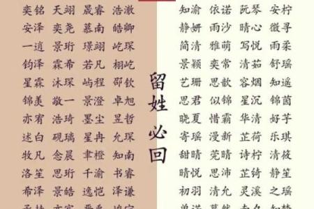 舒姓女孩名字大全-舒姓女孩起名字大全-舒姓名字大全姓名