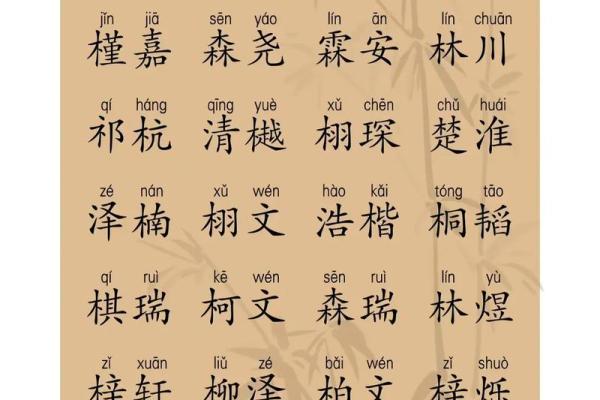 2019年3月30号巳时出生的男孩起名方法姓名