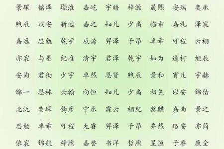 2019年6月16号丑时出生的男孩要怎么起名字姓名