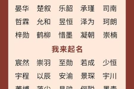 双胞胎男孩的名字和方法都有哪些-姓名学-华易网姓名