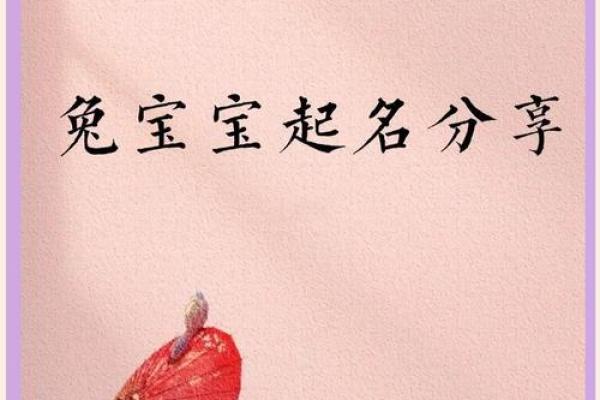 3月份出生的属兔男孩适合取什么名字姓名