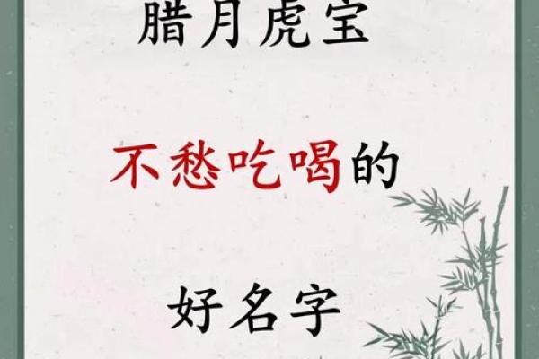 傍晚7点出生的属虎男孩要怎么样起名姓名