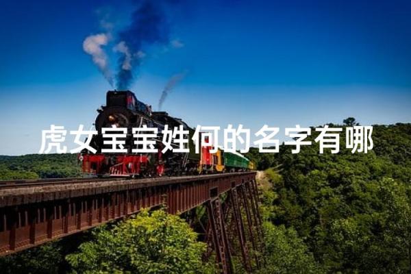 何姓女孩名字大全-何姓女孩起名字大全-何姓名字大全姓名