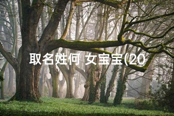 何姓女孩名字大全-何姓女孩起名字大全-何姓名字大全姓名