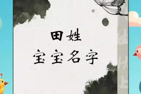 田姓女孩名字大全-田姓女孩起名字大全-田姓名字大全姓名