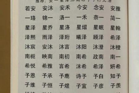 2019年3月25号申时出生的男孩起名方法姓名