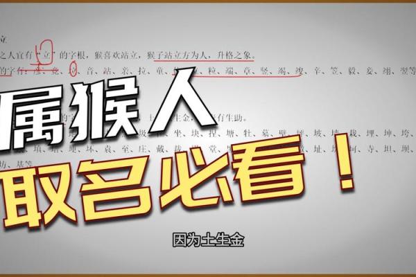 傍晚出生的属猴男孩如何起名，用什么字姓名