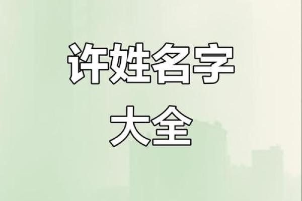 许姓男孩名字大全-许姓男孩起名字大全-许姓名字大全姓名