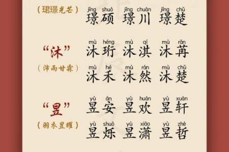 2019年3月23号子时出生的男孩要怎么起名字姓名