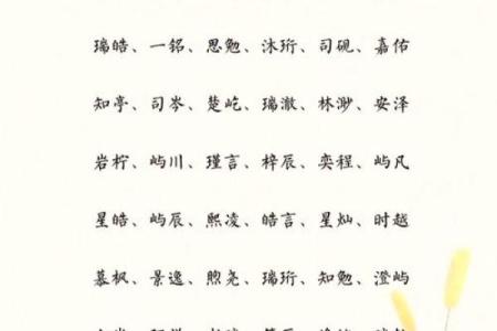 贺姓女孩名字大全-贺姓女孩起名字大全-贺姓名字大全姓名