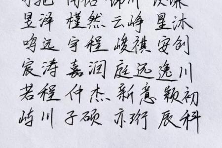 2019年3月21号巳时出生的男孩要怎么起名字姓名