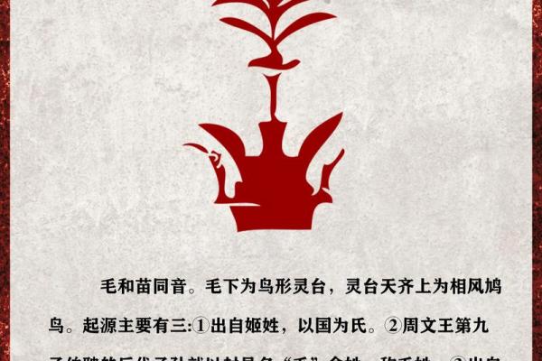 毛姓女孩名字大全-毛姓女孩起名字大全-毛姓名字大全姓名 毛姓女孩名字大全-毛姓女孩起名字大全-毛姓名字大全姓名