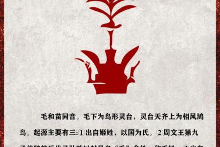 毛姓女孩名字大全-毛姓女孩起名字大全-毛姓名字大全姓名