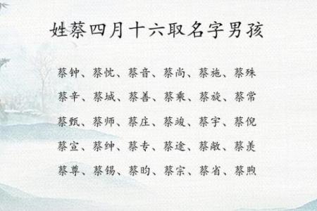 蔡姓女孩名字大全-蔡姓女孩起名字大全-蔡姓名字大全姓名