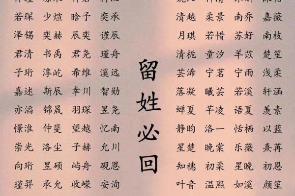 2019年3月19号巳时出生的男孩起名时要注意什么姓名