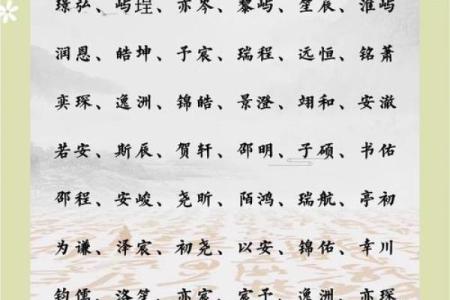 2019年4月2号辰时出生的男孩应该起什么样的名字姓名