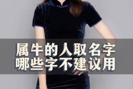 晚上11点出生的属牛男孩要怎么样起名姓名