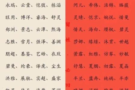 2019年3月29号辛时出生的男孩起名时要注意什么姓名