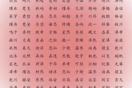 2019年5月31号卯时出生的男孩起名时要注意什么姓名