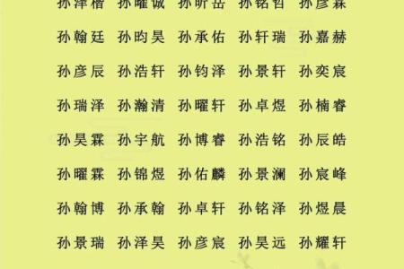 2019年5月18号卯时出生的男孩如何起名姓名