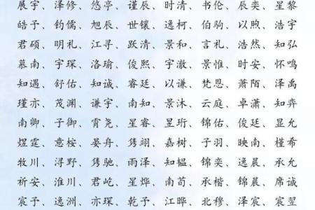 毛姓男孩名字大全-毛姓男孩起名字大全-毛姓名字大全姓名