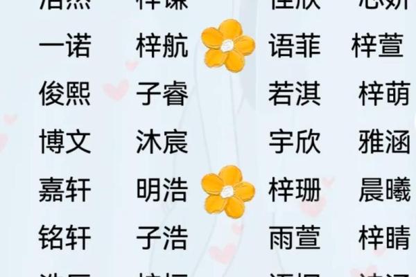 玩具店起名名字大全-名字大全-姓名学-华易算命网姓名