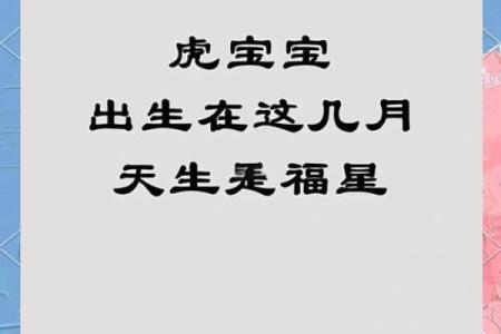 8月份出生的属虎男孩如何取名字好姓名