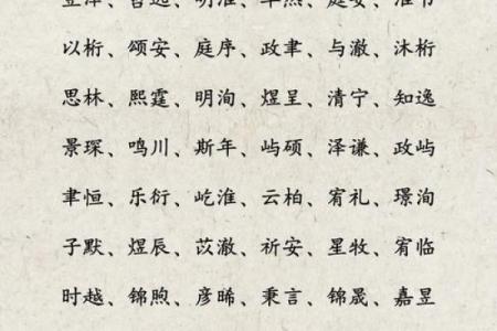 2019年3月21号子时出生的男孩应该起什么样的名字姓名