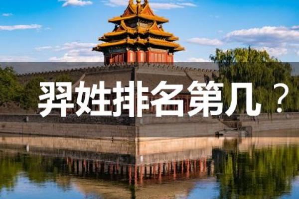 羿姓男孩名字大全-羿姓男孩起名字大全-羿姓名字大全姓名