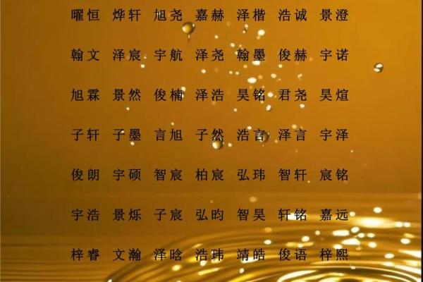 下午一点出生的属猴男孩如何取名，宜用什么字姓名