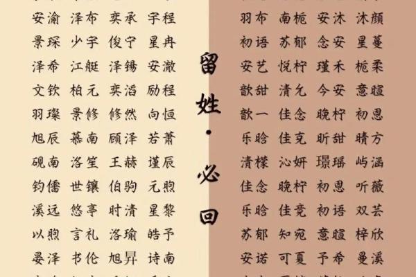 2019年3月25号亥时出生的男孩起名方法姓名