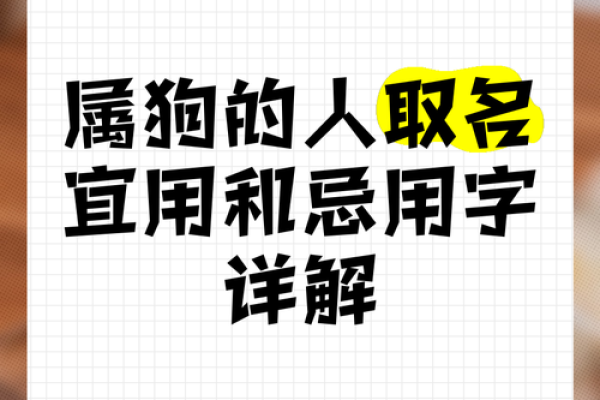 早上八点出生的属狗男孩怎么取名，用什么字好姓名