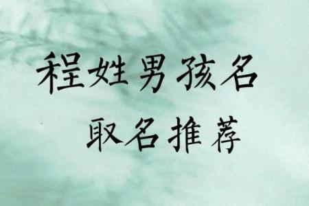 2019年6月19号丑时出生的男孩起名时要注意什么姓名