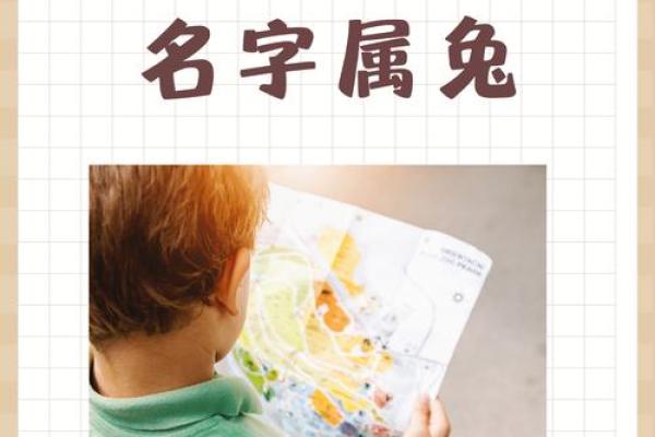 7月份出生的属兔男孩应该如何取名字姓名 7月份出生的属兔男孩应该如何取名字姓名