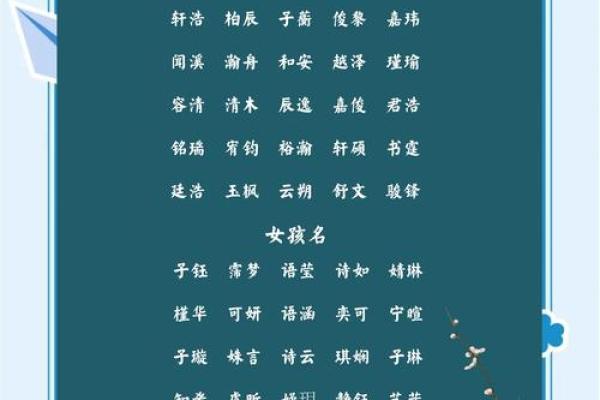 属兔辰时出生的男孩最好用什么字取名姓名