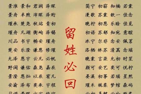 2019年6月15号卯时出生的男孩起名时要注意什么姓名