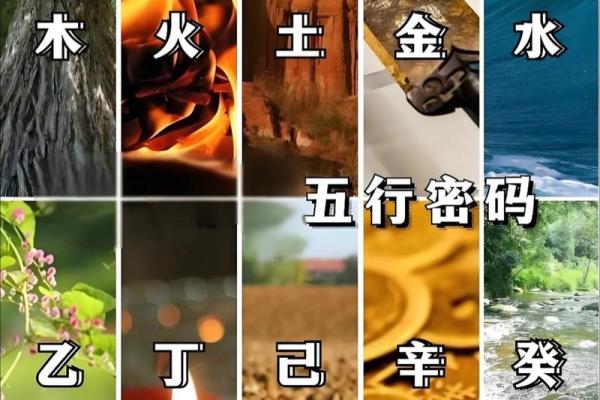 公司起名怎样契合五行数理-姓名学-华易算命网姓名 公司起名怎样契合五行数理-姓名学-华易算命网姓名