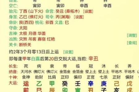 2019年3月20号辛时出生的男孩起名方法姓名