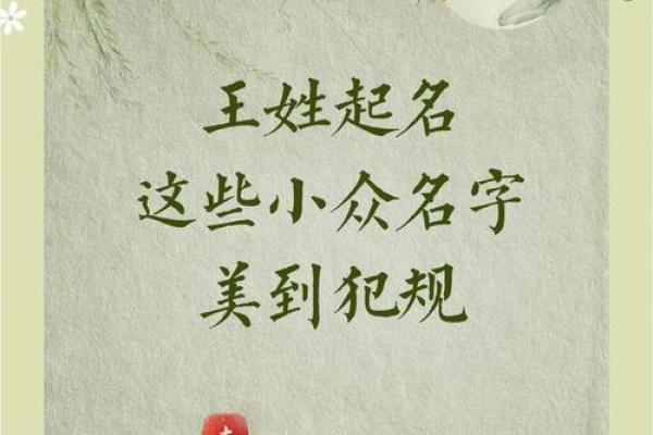 王姓女孩名字大全-王姓女孩起名字大全-王姓名字大全姓名