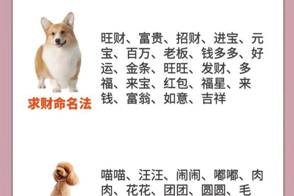 半夜出生的属狗男孩怎么取名，宜用什么字姓名