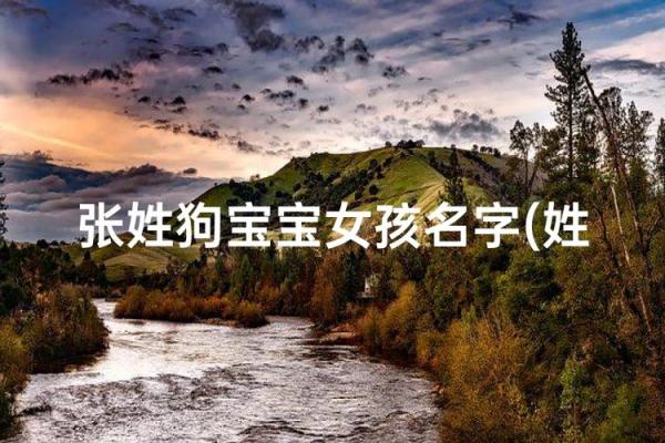 半夜出生的属狗男孩怎么取名，宜用什么字姓名