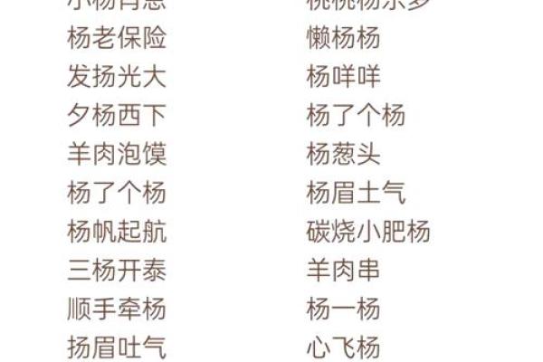 杨姓男孩名字大全-杨姓男孩起名字大全-杨姓名字大全姓名