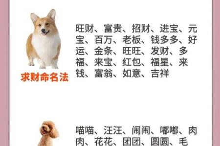 半夜出生的属狗男孩怎么取名，宜用什么字姓名