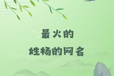 杨姓男孩名字大全-杨姓男孩起名字大全-杨姓名字大全姓名