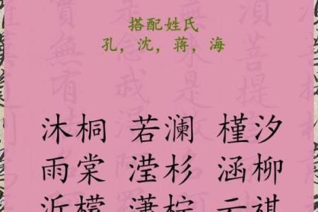 支姓女孩名字大全-支姓女孩起名字大全-支姓名字大全姓名