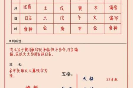 2019年3月23号辛时出生的男孩如何起名姓名