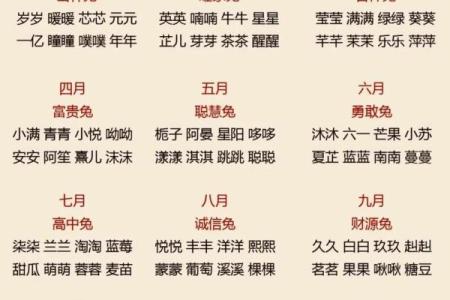 5月份出生的属兔女孩起什么名字好姓名
